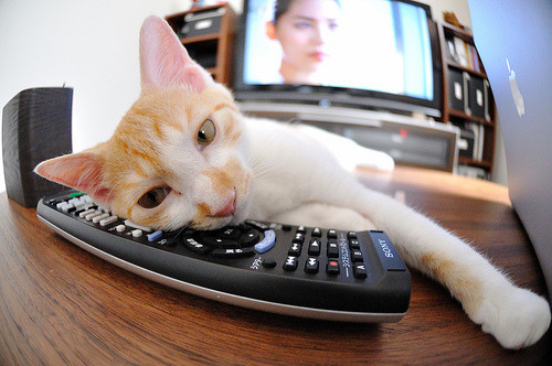 热火轻取黄蜂显沉稳，塔图姆奥运关键战接管，球星双线闪耀背后的篮球新时代